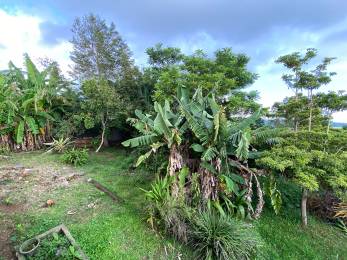 Achat Terrain Saint-Paul (97460) - REUNION