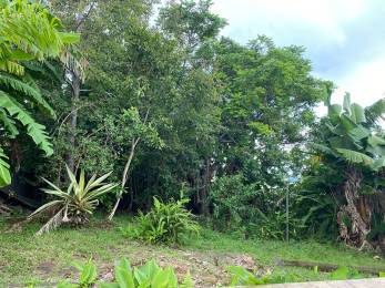 Achat Terrain Saint-Paul (97460) - REUNION