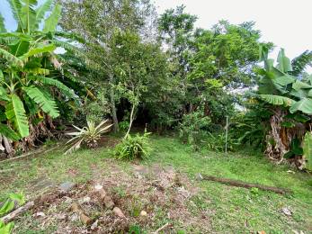 Achat Terrain Saint-Paul (97460) - REUNION