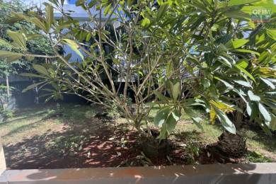 Achat Maison POINTE AUX PIMENTS () - MAURICE