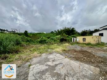 Achat Terrain Tampon (97430) - REUNION
