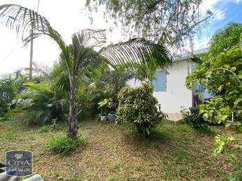 Achat Maison Saint-Louis (97450) - REUNION