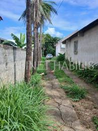 Achat Maison Saint-Pierre (97410) - REUNION