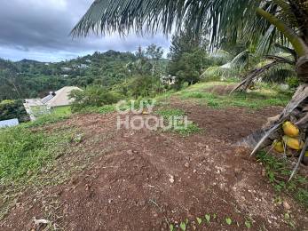 Achat Terrain Saint-Denis (97400) - REUNION