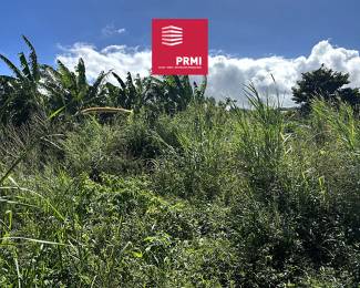 Achat Terrain Petite Ile (97429) - REUNION