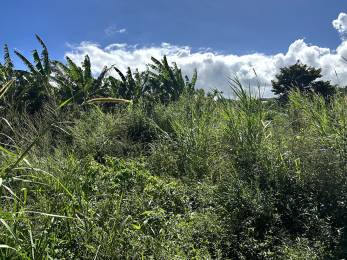 Achat Terrain Petite Ile (97429) - REUNION