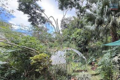 Achat Terrain Les Avirons (97425) - REUNION