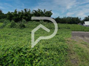 Achat Terrain Tampon (97430) - REUNION