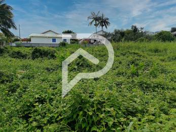 Achat Terrain Tampon (97430) - REUNION