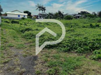 Achat Terrain Tampon (97430) - REUNION