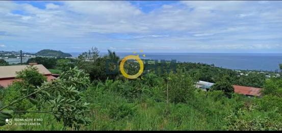 Achat Terrain Saint-Joseph (97480) - REUNION