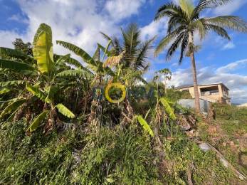 Achat Terrain Saint-Joseph (97480) - REUNION