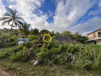 Achat Terrain Saint-Joseph (97480) - REUNION