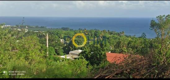 Achat Terrain Saint-Joseph (97480) - REUNION