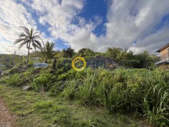 Achat Terrain Saint-Joseph (97480) - REUNION