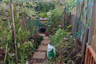 Achat Appartement Saint-Pierre (97410) - REUNION
