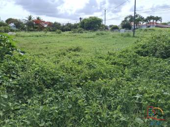 Achat terrain Saint-François (97118) - GUADELOUPE