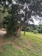 achat terrain à saint-paul (97460)