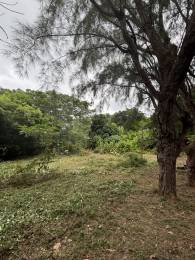 Achat Terrain Saint-Paul (97460) - REUNION