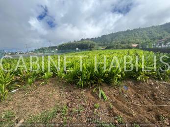 Achat Terrain Saint-Joseph (97480) - REUNION