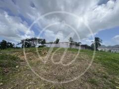 achat terrain à les abymes (97139)