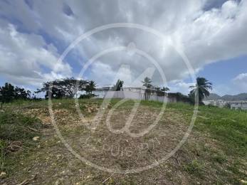 Achat Terrain Les Abymes (97139) - GUADELOUPE