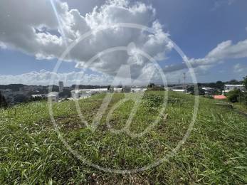 Achat Terrain Les Abymes (97139) - GUADELOUPE