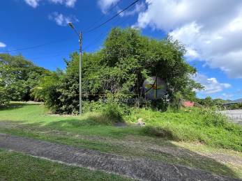 Achat Terrain Les Abymes (97139) - GUADELOUPE