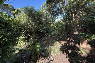 Achat Maison Rivière Saint-Louis (97421) - REUNION