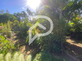 Achat Terrain Saint-Joseph (97480) - REUNION