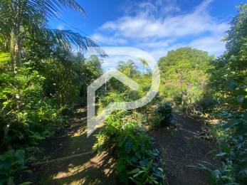 Achat Terrain Saint-Joseph (97480) - REUNION
