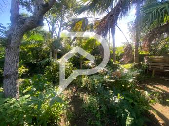 Achat Terrain Saint-Joseph (97480) - REUNION