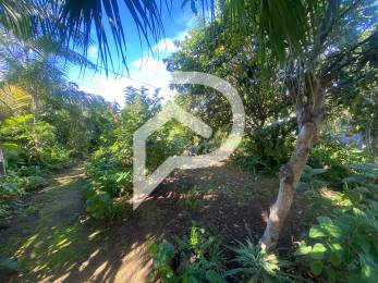 Achat Terrain Saint-Joseph (97480) - REUNION