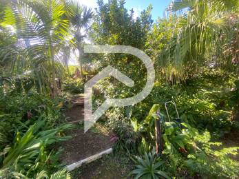 Achat Terrain Saint-Joseph (97480) - REUNION