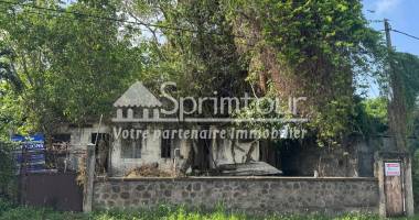 À vendre   terrain constructible de 2999 m2 à basse-terre