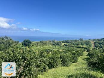 Achat Terrain Petite Ile (97429) - REUNION