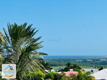 Achat Villa Saint-Louis (97450) - REUNION