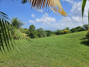 Achat Rez De Jardin Martinique (972) - MARTINIQUE