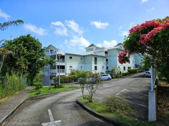 Achat Rez De Jardin Martinique (972) - MARTINIQUE
