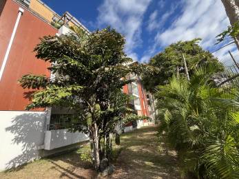 Achat appartement Saint-Denis (97400) - REUNION