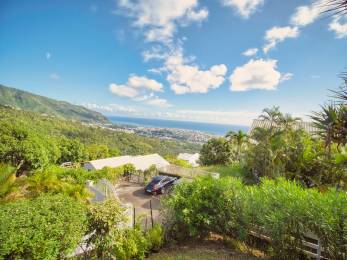 Achat Villa Saint-Denis (97400) - REUNION