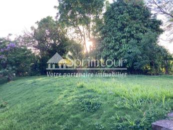 Location  Local Professionnel Saint-Claude (97120) - GUADELOUPE