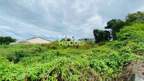 Achat Terrain Tampon (97430) - REUNION