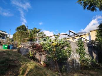 Location Maison Saint-Paul (97460) - REUNION