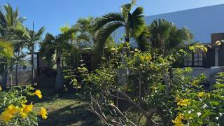 achat f4/5 etang sale les bains à etang salé (97427)