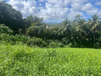 Achat Terrain Lamentin (97129) - GUADELOUPE