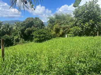 Achat Terrain Lamentin (97129) - GUADELOUPE