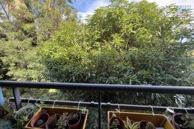 Achat Appartement Rivière Saint-Louis (97421) - REUNION