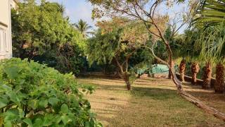 location f5/6 à les avirons (97425)