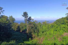 achat terrain à les avirons (97425)